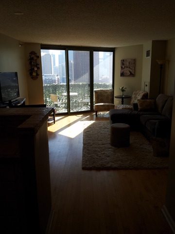 111 West Maple Street, Unit 1106 Chicago, IL 60610 - Photo 11 of 12
