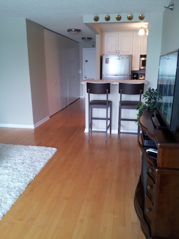111 West Maple Street, Unit 1106 Chicago, IL 60610 - Photo 12 of 12