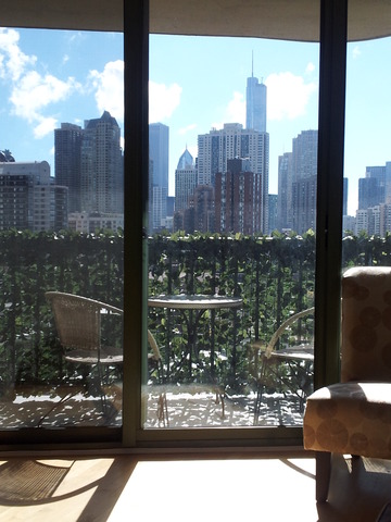 111 West Maple Street, Unit 1106 Chicago, IL 60610 - Photo 3 of 12