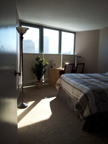 111 West Maple Street, Unit 1106 Chicago, IL 60610 - Photo 4 of 12