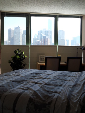 111 West Maple Street, Unit 1106 Chicago, IL 60610 - Photo 5 of 12