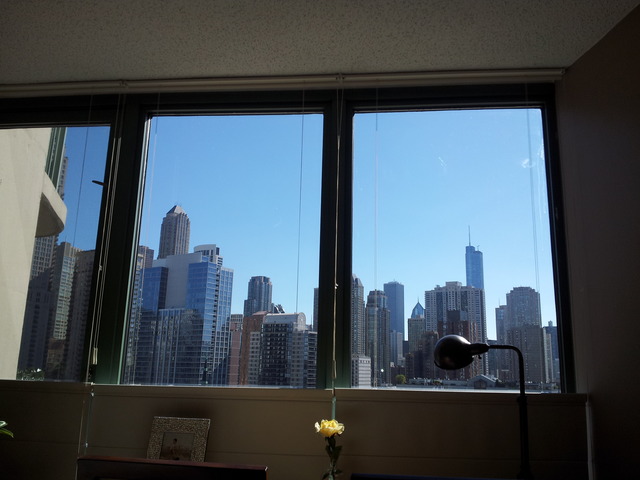 111 West Maple Street, Unit 1106 Chicago, IL 60610 - Photo 7 of 12
