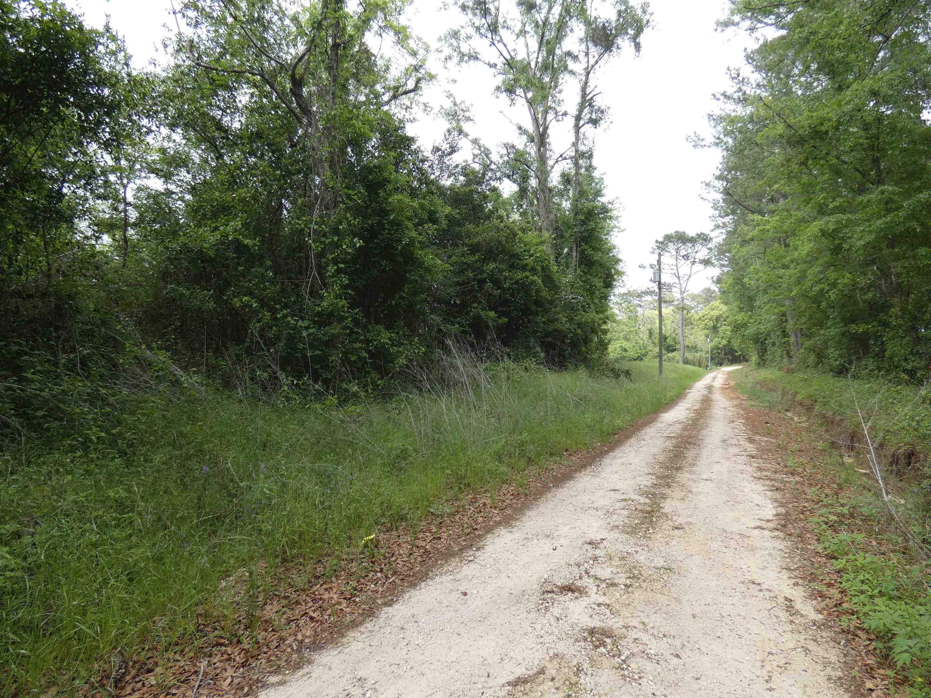 Tbd Devane Road Monticello, FL 32344 - Photo 2 of 4 Gallery Image 2