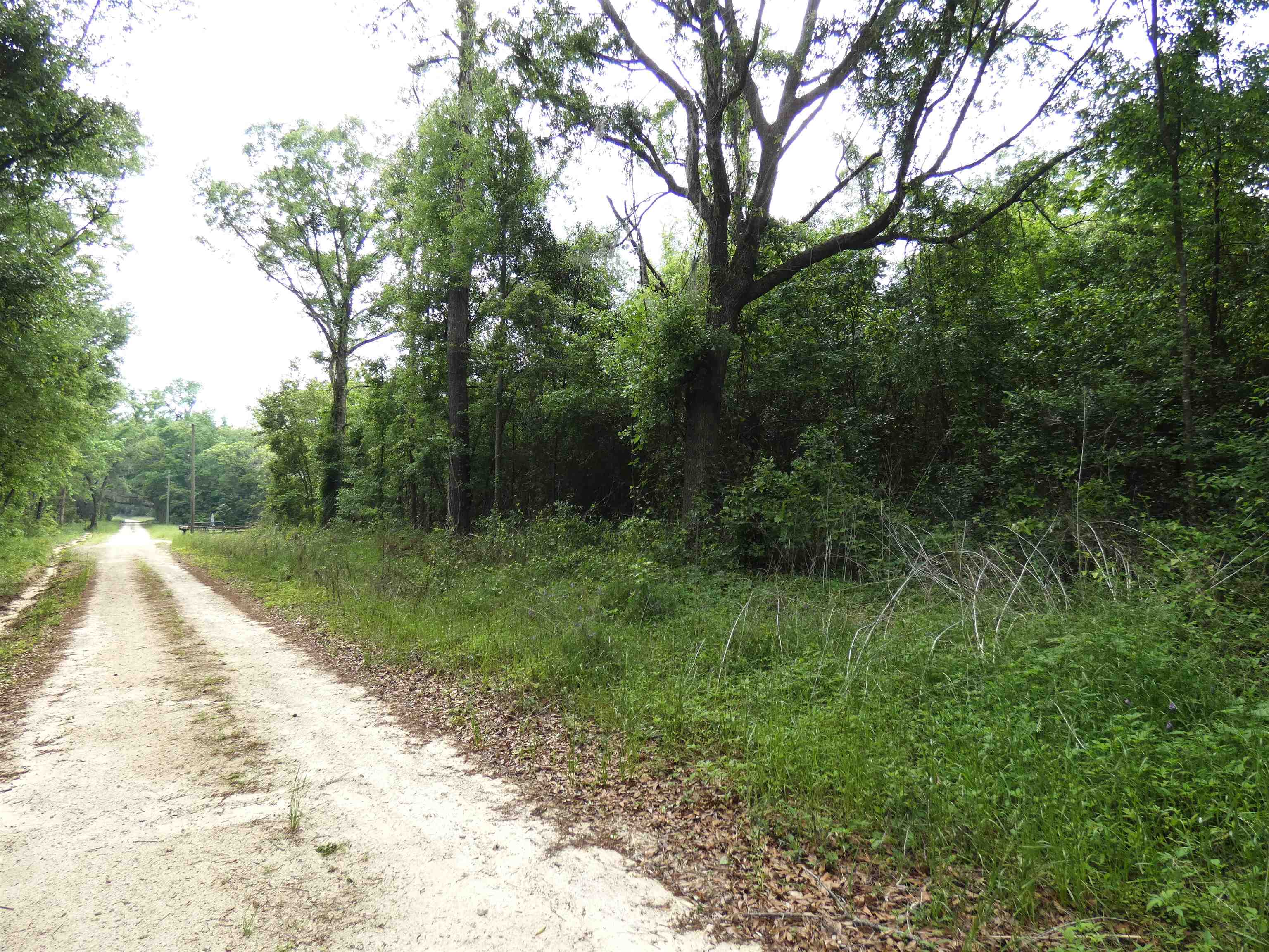 Tbd Devane Road Monticello, FL 32344 - Photo 3 of 4 Gallery Image 3