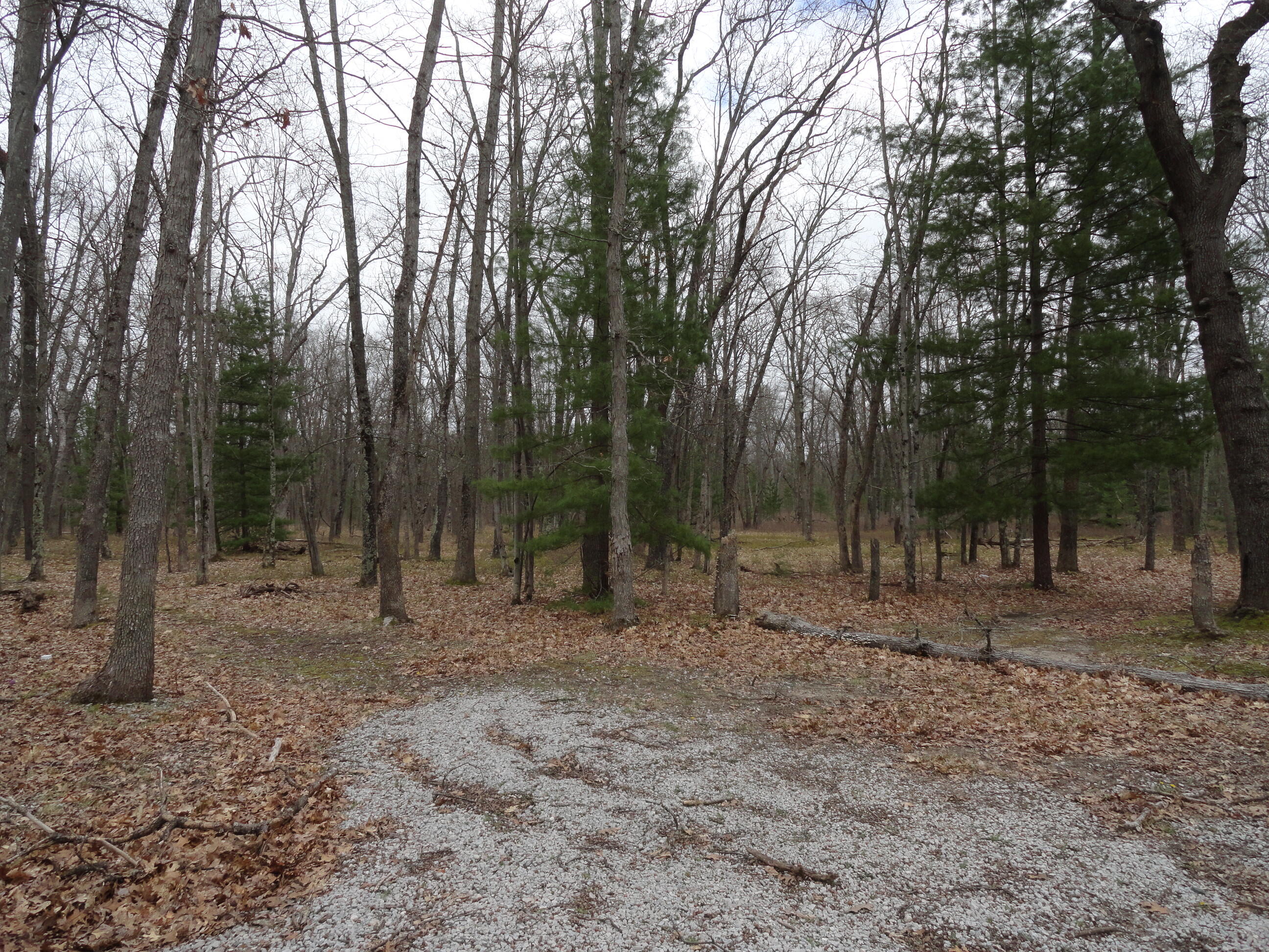 1035 Udell Hills Fire Tower Road Manistee, MI 49660 - Photo 11 of 14 773751d4-3716-4540-9853-f1313bf59b28