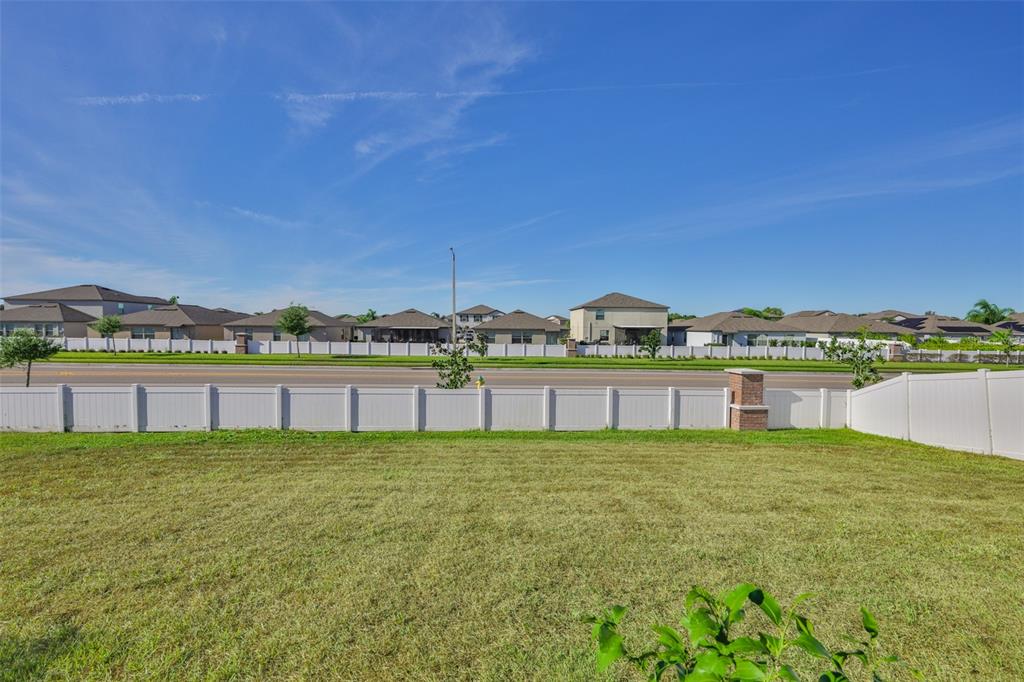13575 Willow Bluestar Loop Riverview, FL 33579 - Photo 40 of 48 a view of a city with tall buildings and a big yard