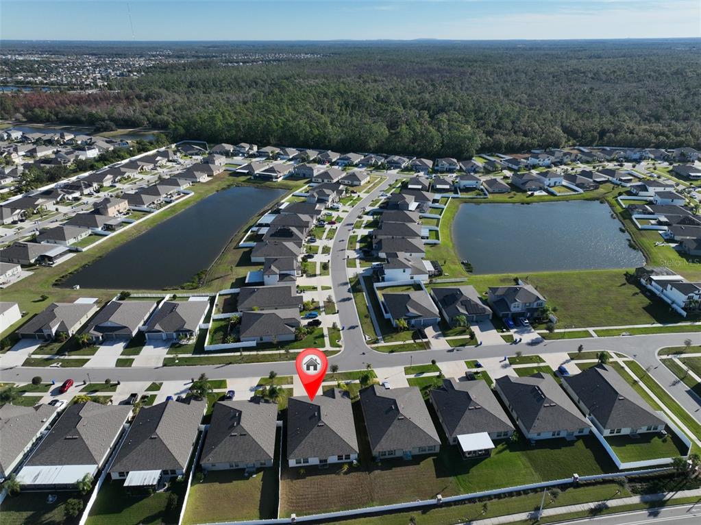 13575 Willow Bluestar Loop Riverview, FL 33579 - Photo 42 of 48 a view of a city