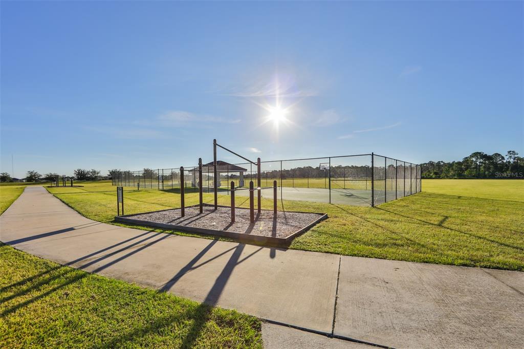 13575 Willow Bluestar Loop Riverview, FL 33579 - Photo 47 of 48 a view of swimming pool