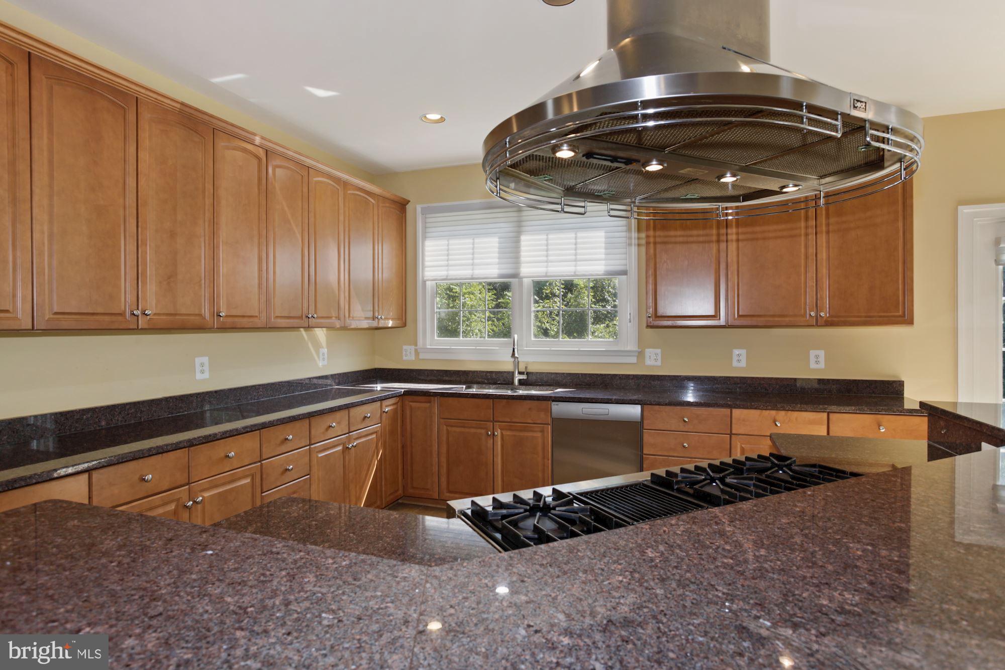 12830 Victory Lakes Loop Bristow, VA 20136 - Photo 13 of 50 Granite galore!