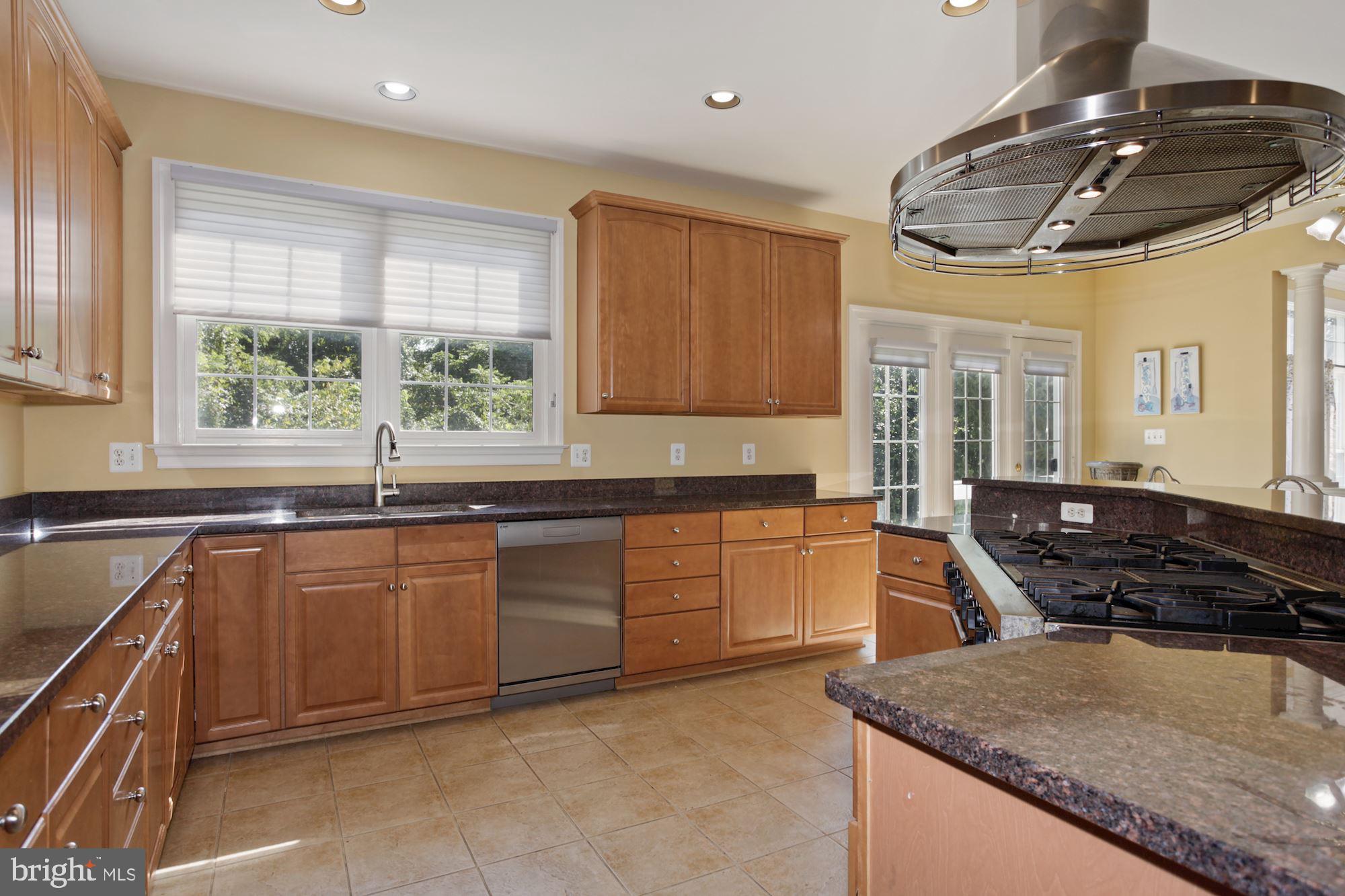 12830 Victory Lakes Loop Bristow, VA 20136 - Photo 14 of 50 LOADS of COUNTERTOPS!