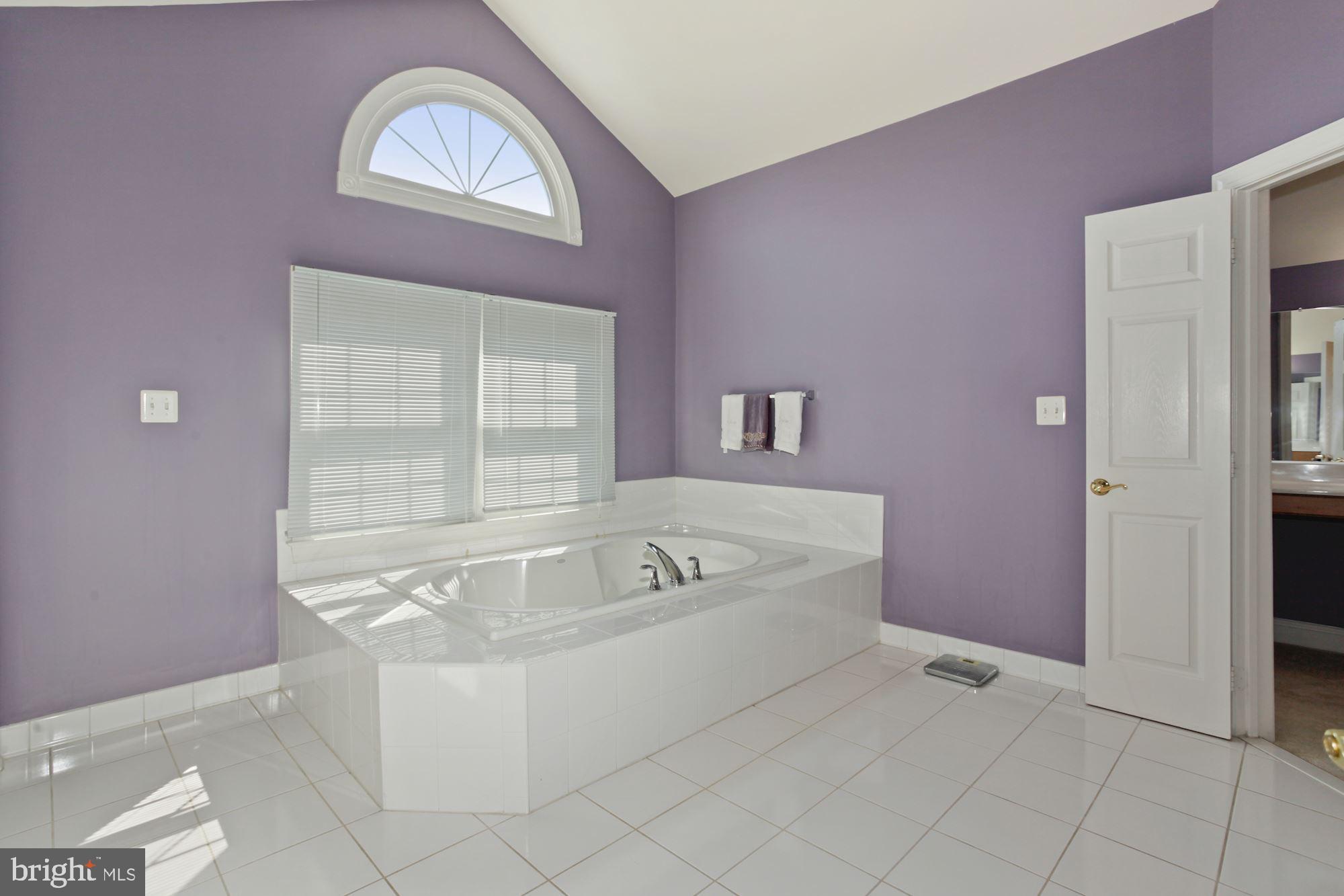 12830 Victory Lakes Loop Bristow, VA 20136 - Photo 24 of 50 SEPARATE SOAKING TUB!