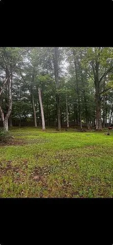 $318,000 | 13 Scott Avenue, Kauneonga Lake, NY 12749