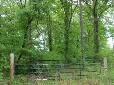758 Montgomery Road Dayton, TN 37321 - Photo 12 of 14 758 Montgomery