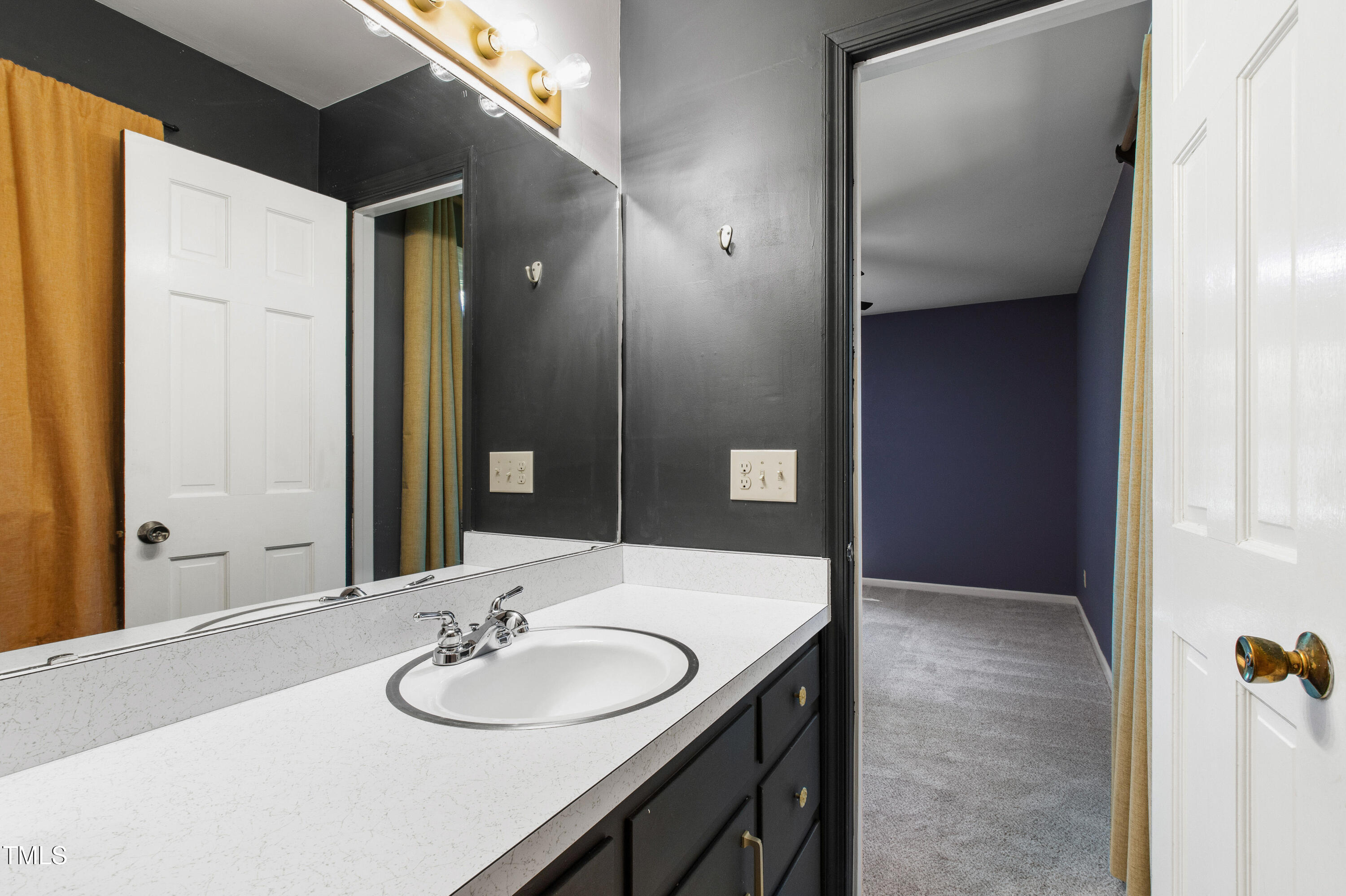 4606 Greenbrier Road Raleigh, NC 27603 - Photo 26 of 49 a bathroom with a sink and a mirror