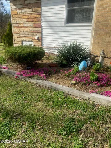 a view of a backyard with plants and flowers