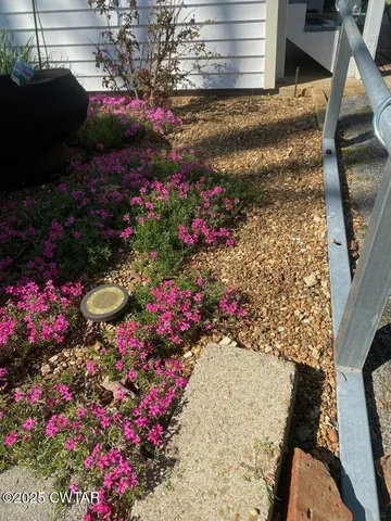 a view of a flower arrangement in backyard