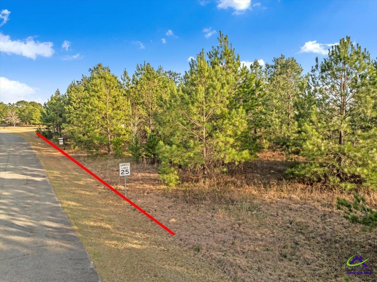 0 Woodland Trail Road Cochran, GA 31014 - Photo 6 of 20