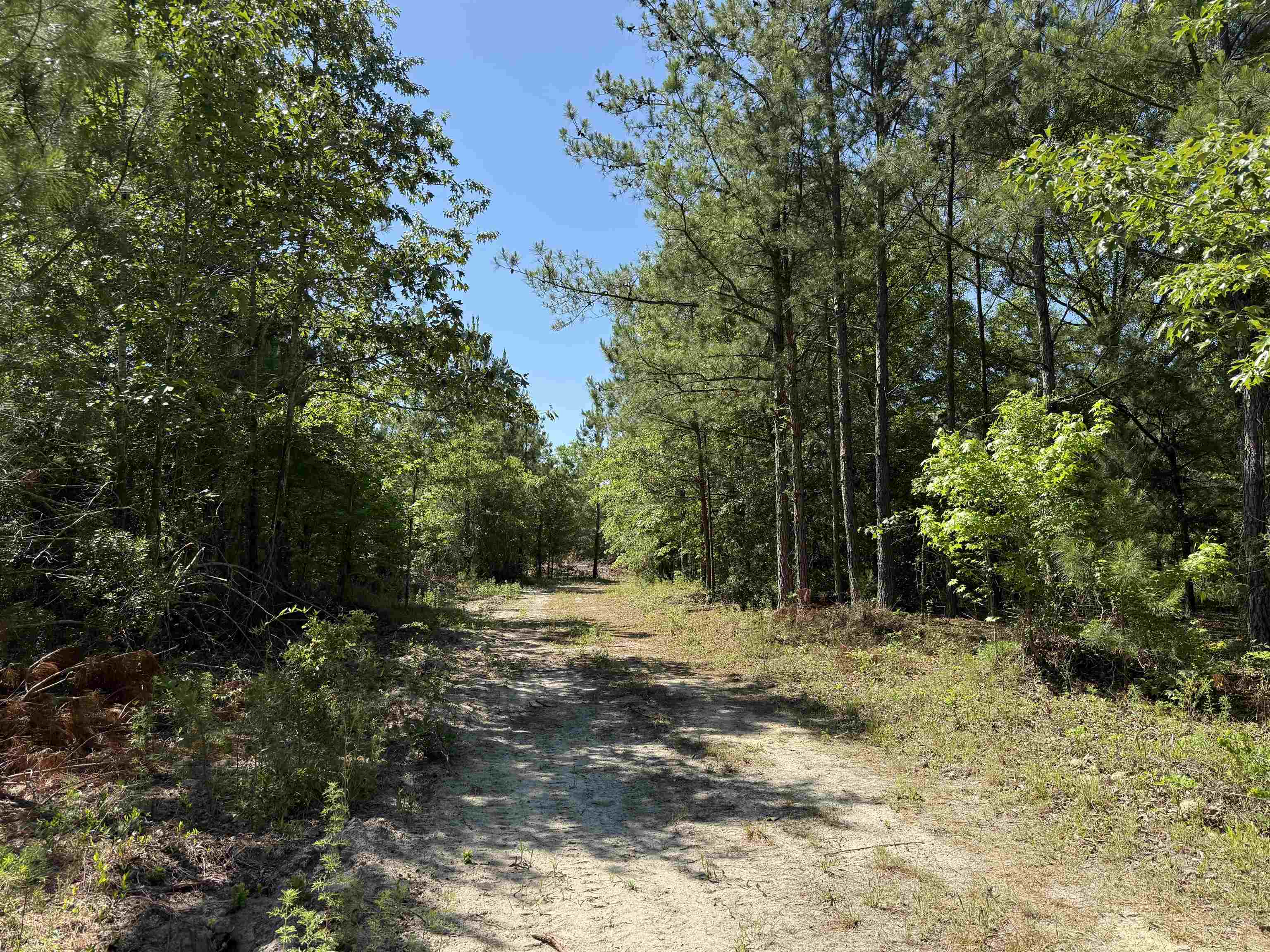 5432 June Burn Road Manning, SC 29102 - Photo 5 of 32