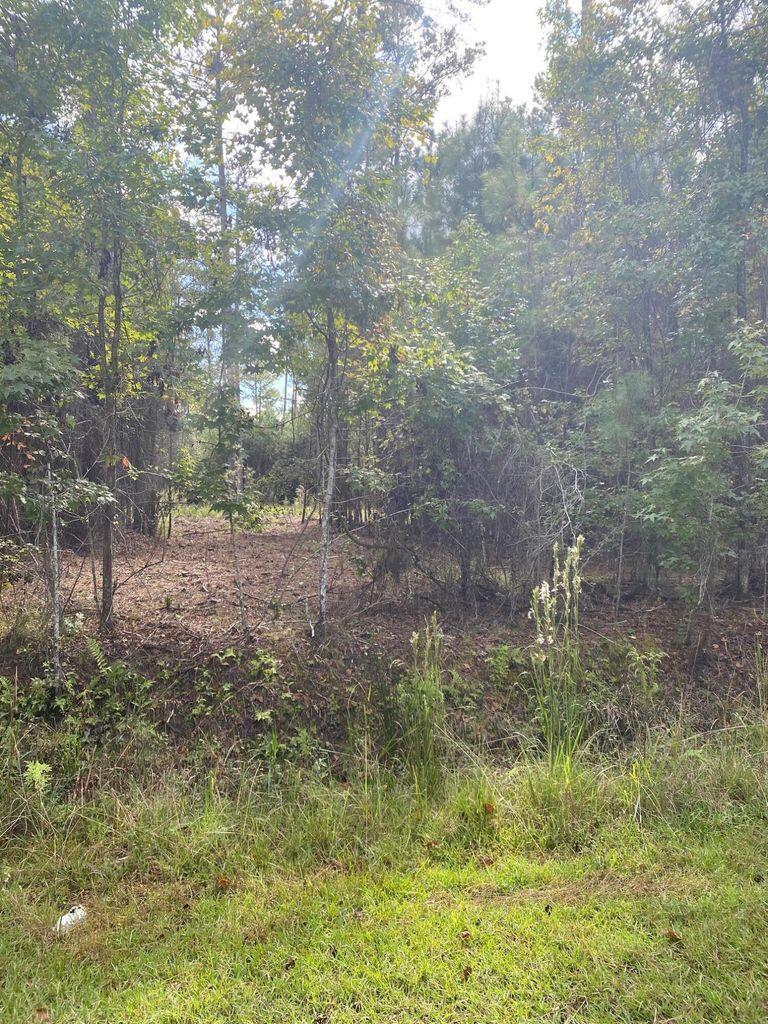 8041 Old Jacksonboro Road Adams Run, SC 29426 - Photo 6 of 7 20211023170510866794000000-o