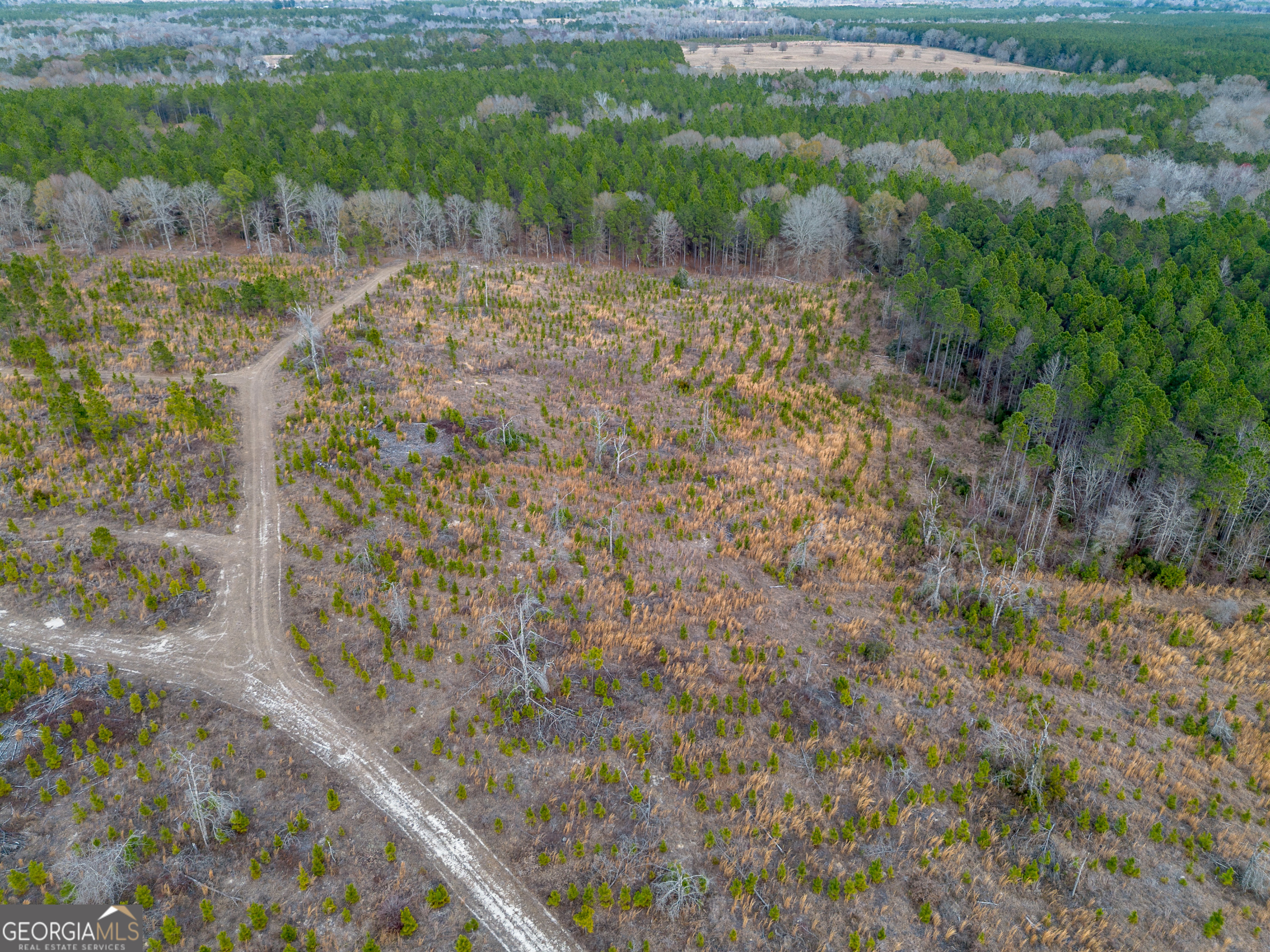 4 Bell Line Road Eastman, GA 31023 - Photo 2 of 8
