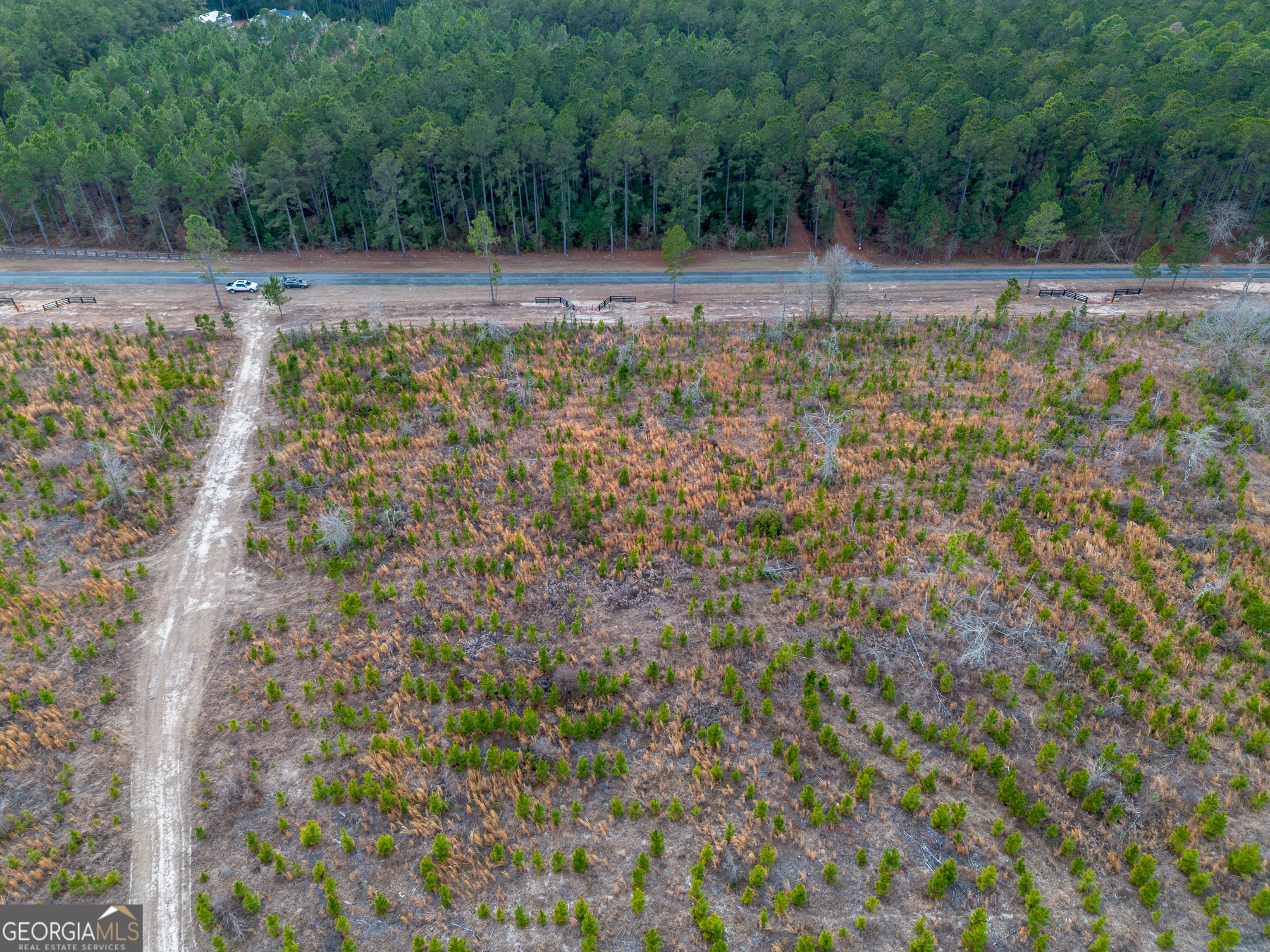 4 Bell Line Road Eastman, GA 31023 - Photo 3 of 8 a view of a yard with a tree