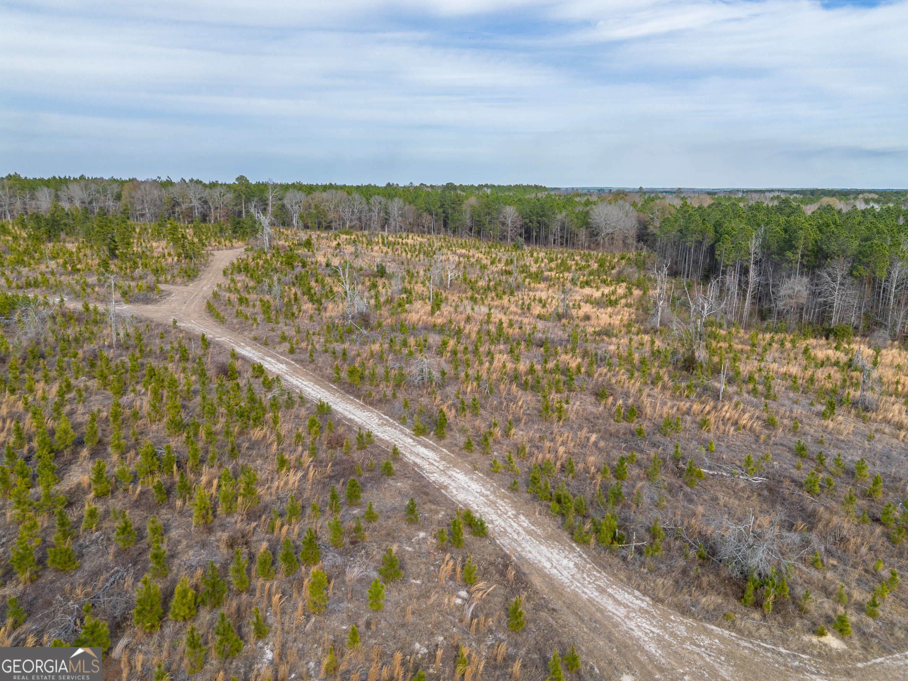 4 Bell Line Road Eastman, GA 31023 - Photo 4 of 8 a view of a city from a lake