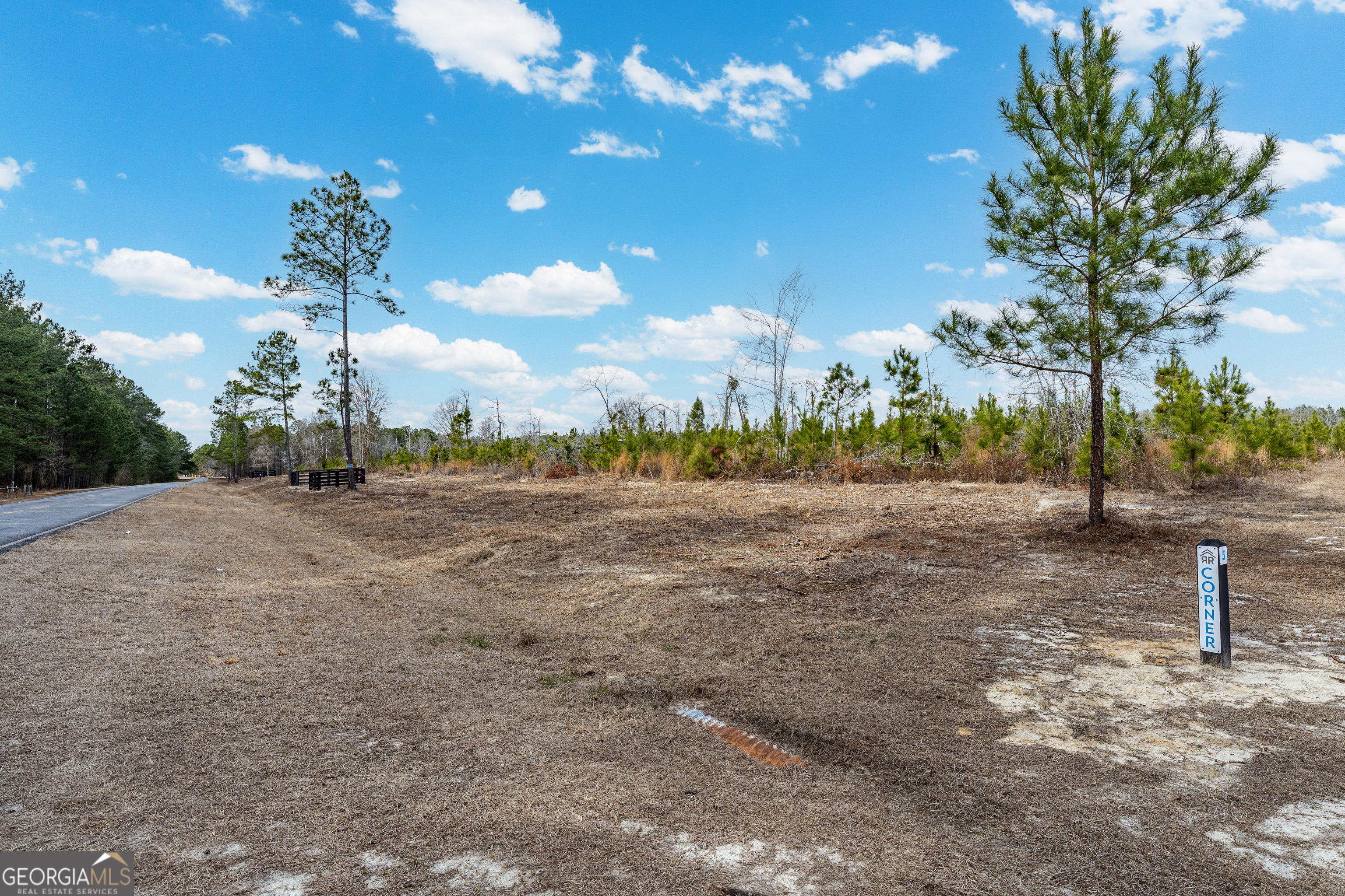 4 Bell Line Road Eastman, GA 31023 - Photo 5 of 8 a view of a garden with a fountain