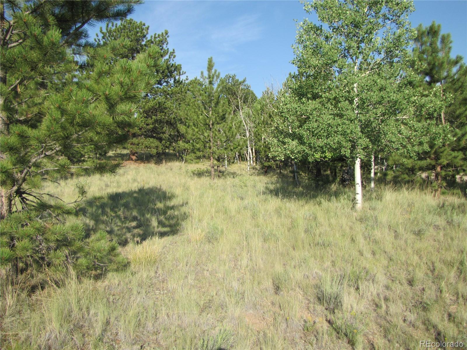 9736 Ranch Road Hartsel, CO 80449 - Photo 20 of 30 Gallery Image 20