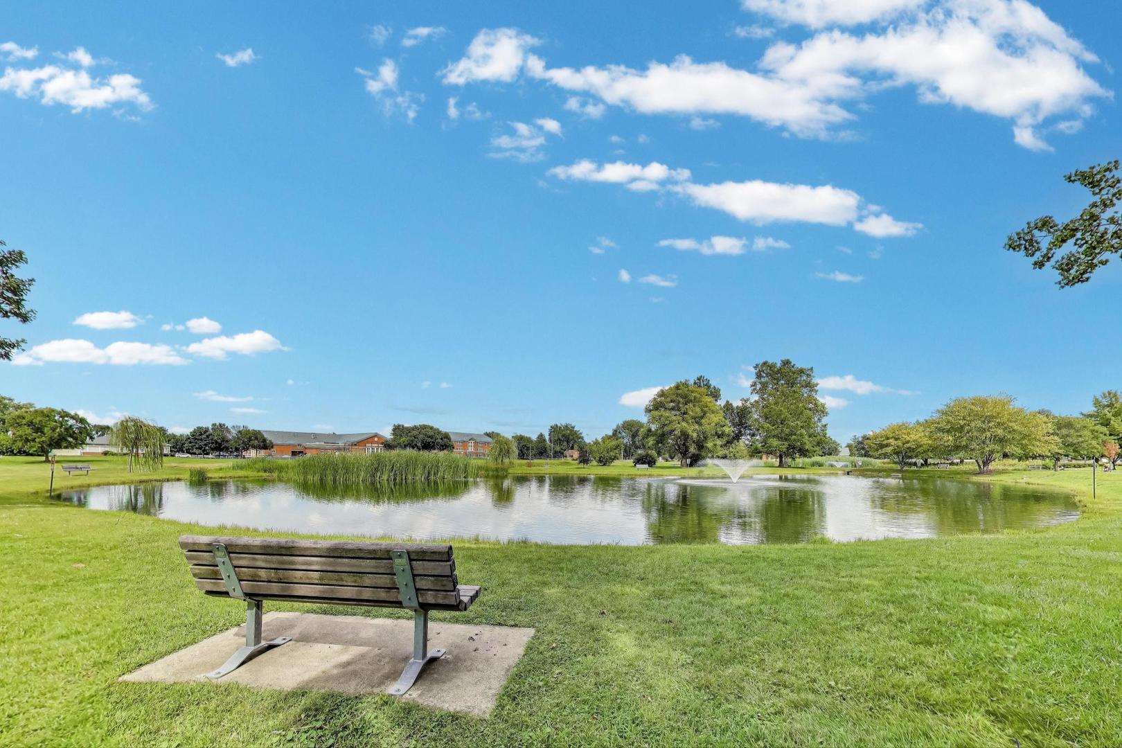 116 Oxford Avenue Clarendon Hills, IL 60514 - Photo 44 of 49