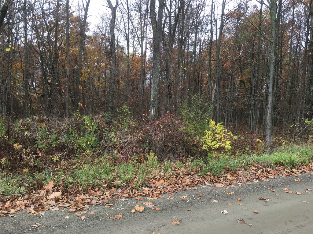 0 Smith Hill Road Hunt, NY 14846 - Photo 1 of 1