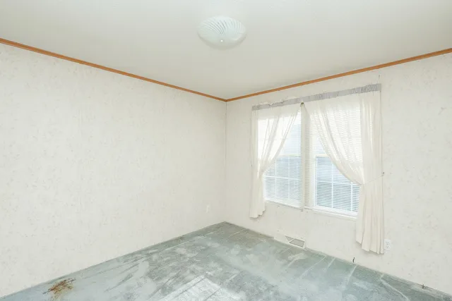 a bathroom with a shower and a sink