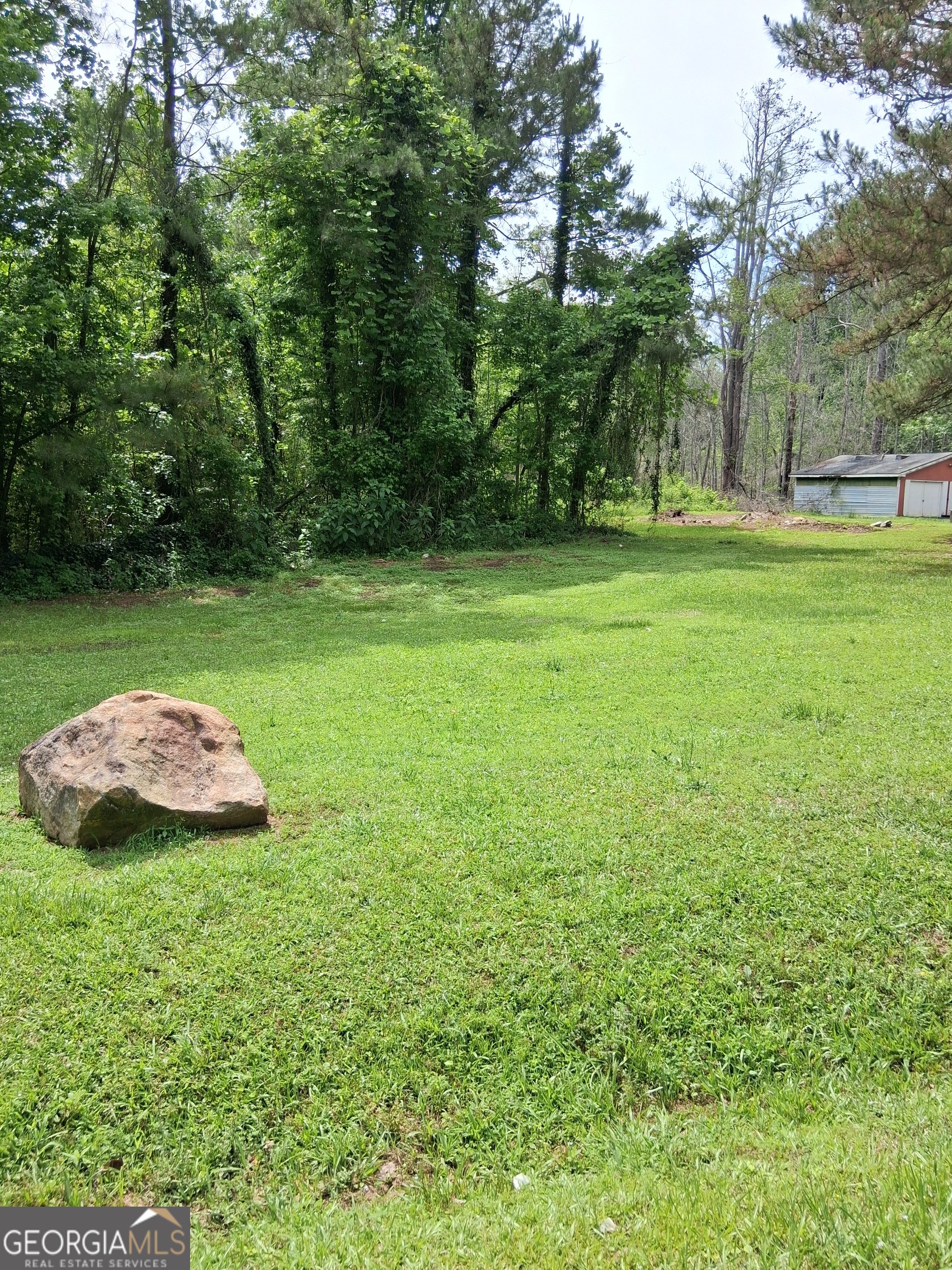 a view of a garden with a bench