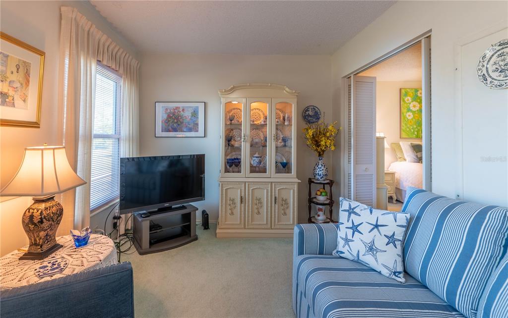 2310 Denmark Street, Unit 46 Clearwater, FL 33763 - Photo 16 of 44 a living room with furniture and a flat screen tv