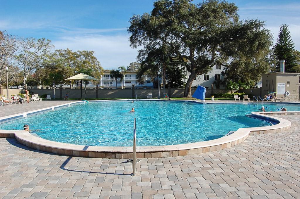 2310 Denmark Street, Unit 46 Clearwater, FL 33763 - Photo 29 of 44 a view of a backyard