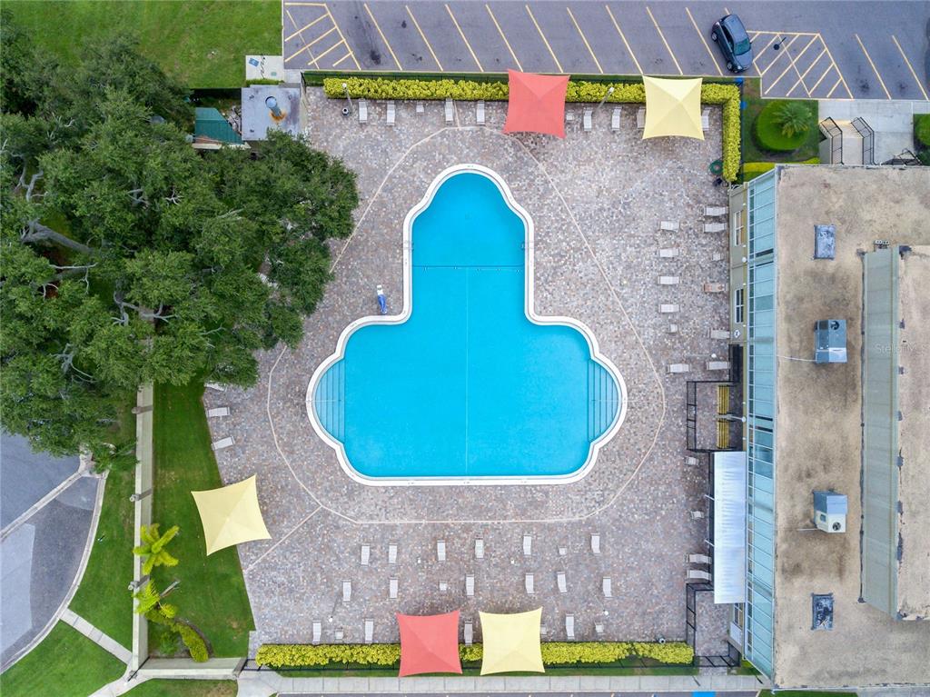 2310 Denmark Street, Unit 46 Clearwater, FL 33763 - Photo 31 of 44 an aerial view of a house with swimming pool and large trees