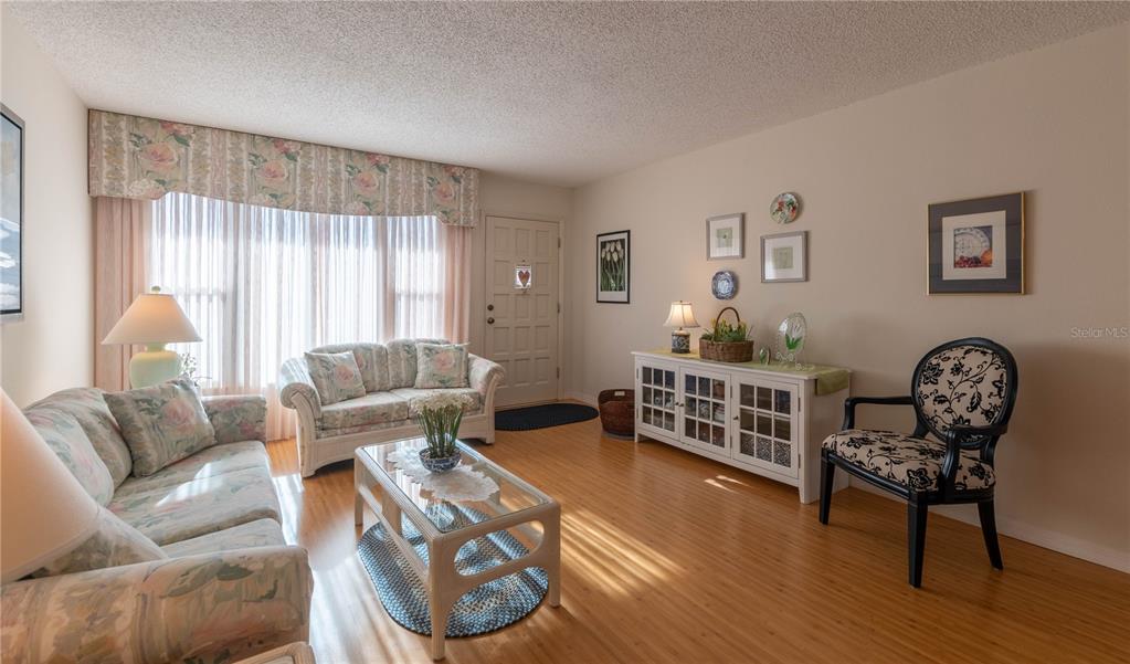 2310 Denmark Street, Unit 46 Clearwater, FL 33763 - Photo 4 of 44 a living room with furniture a couch and dresser with wooden floor