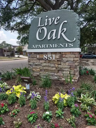 $1,282 | 851 Threadneedle Street, Unit 704, Houston, TX 77079