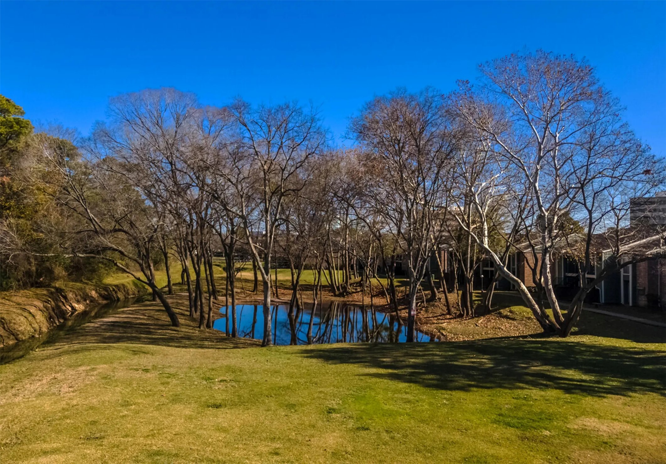 851 Threadneedle Street, Unit 704 Houston, TX 77079 - Photo 17 of 20 Enjoy $399 first month rent and 50% off application and administrative fees by touring and leasing today.