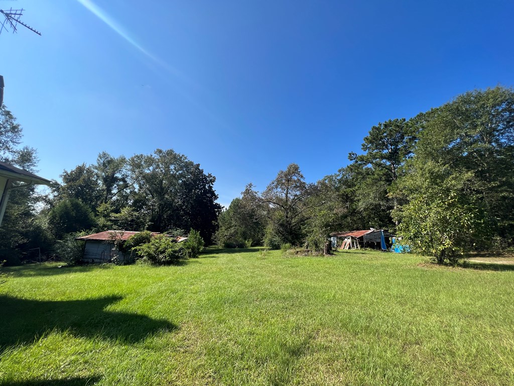 120 Davis Cherry Road Pansey, AL 36370 - Photo 5 of 16