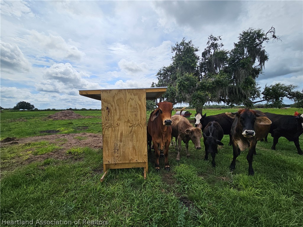 1013 Cattle Ranch Road Venus, FL 33960 - Photo 6 of 7