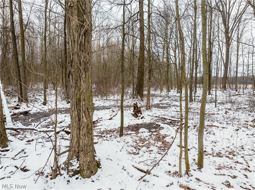 Slater Road Williamsfield, OH 44093 - Photo 11 of 14