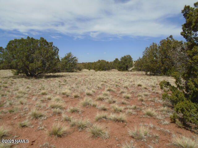 4089 East Oakdale Road Williams, AZ 86046 - Photo 2 of 11 a view of a field with trees in the background