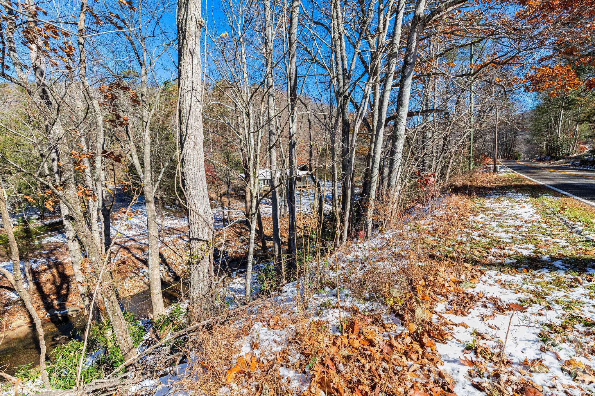 1115 Bee Tree Road Swannanoa, NC 28778 - Photo 27 of 31