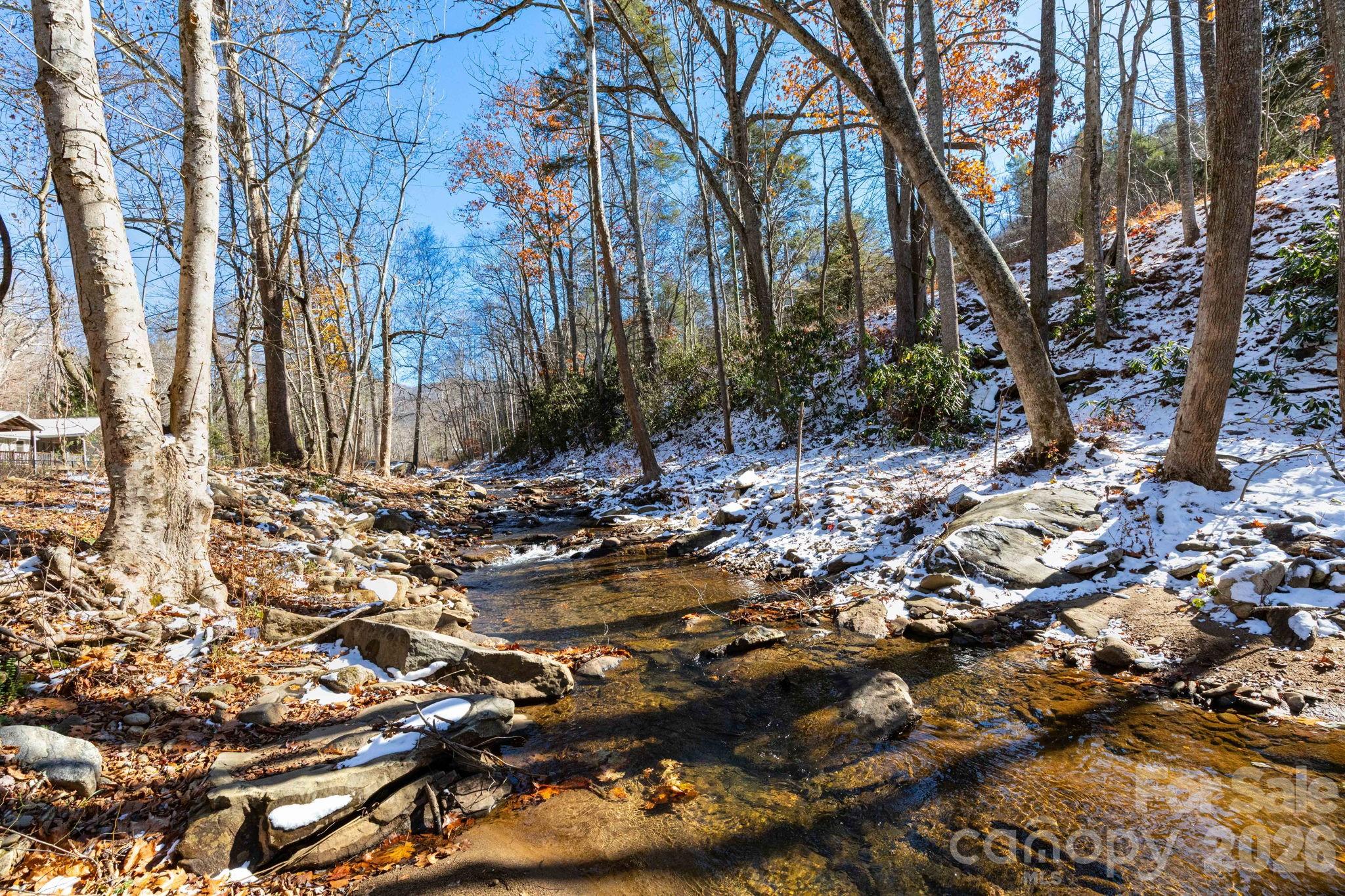 1115 Bee Tree Road Swannanoa, NC 28778 - Photo 28 of 31