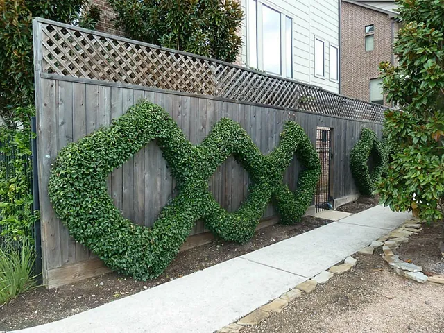 $3,200 | 1602 White Street, Houston, TX 77007