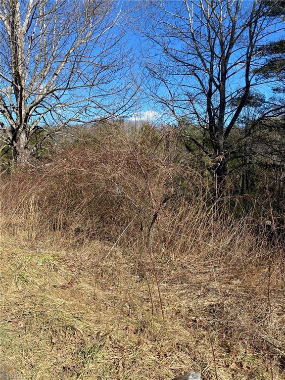 Tbd Holly Ridge Road West Jefferson, NC 28694 - Photo 5 of 7 Gallery Image 5