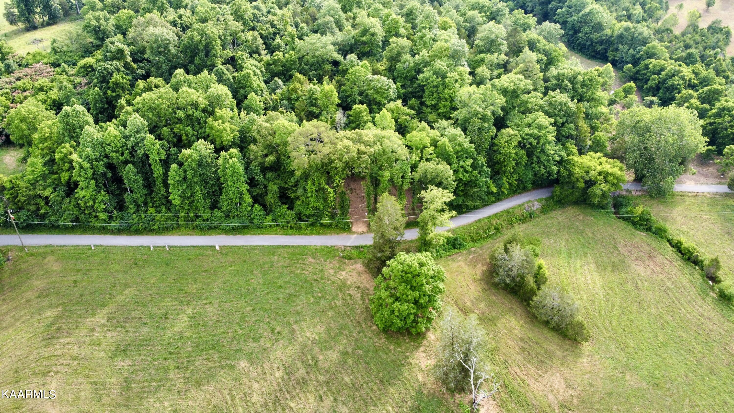 Rodger Road Corryton, TN 37721 - Photo 12 of 22 Road frontage