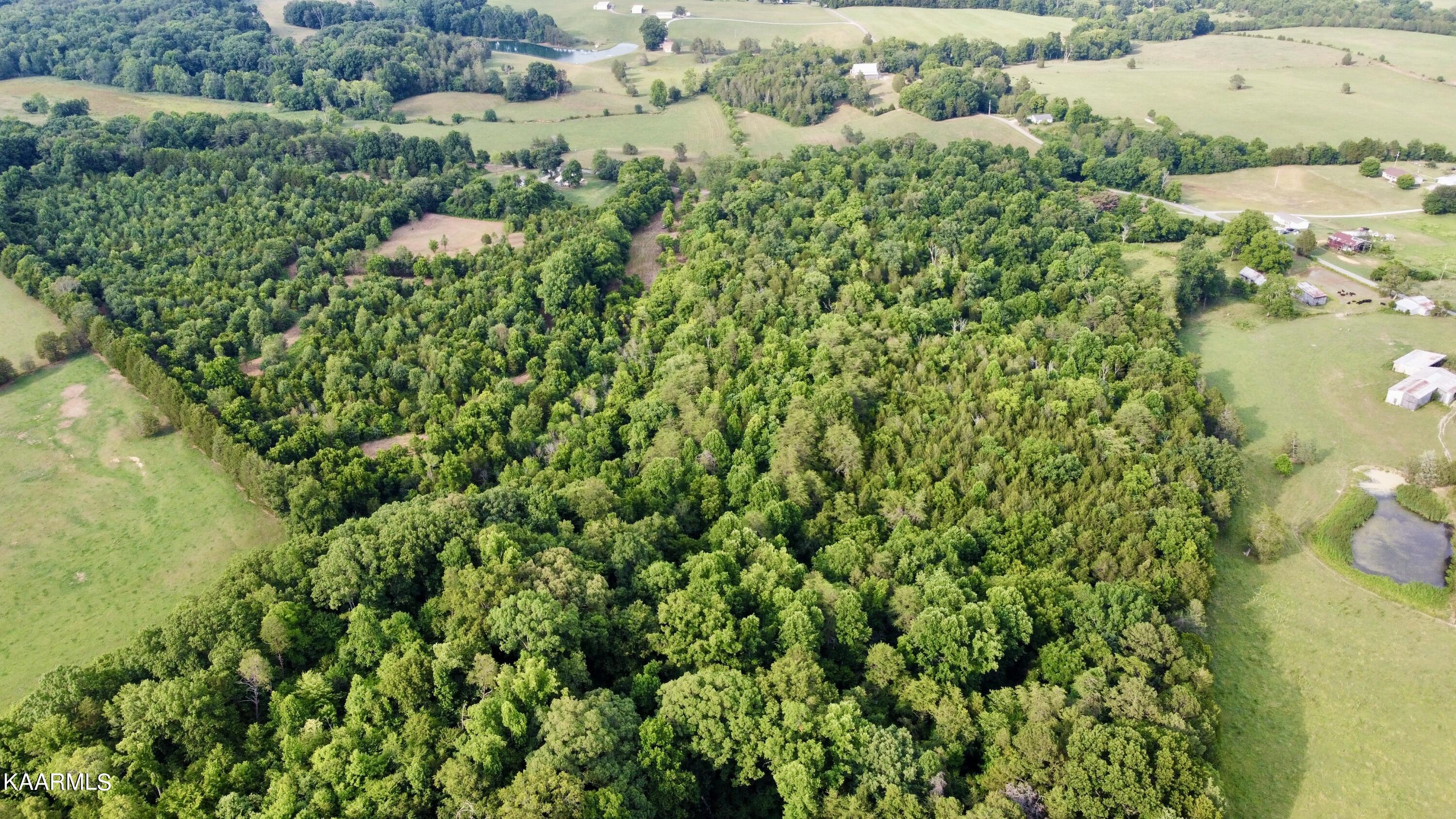 Rodger Road Corryton, TN 37721 - Photo 13 of 22 Aerial of Lot 8