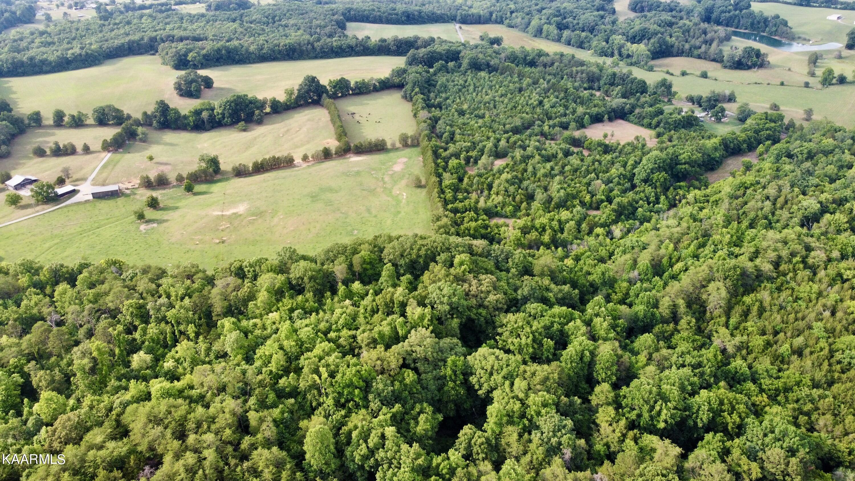 Rodger Road Corryton, TN 37721 - Photo 16 of 22 Aerial of Lot 8