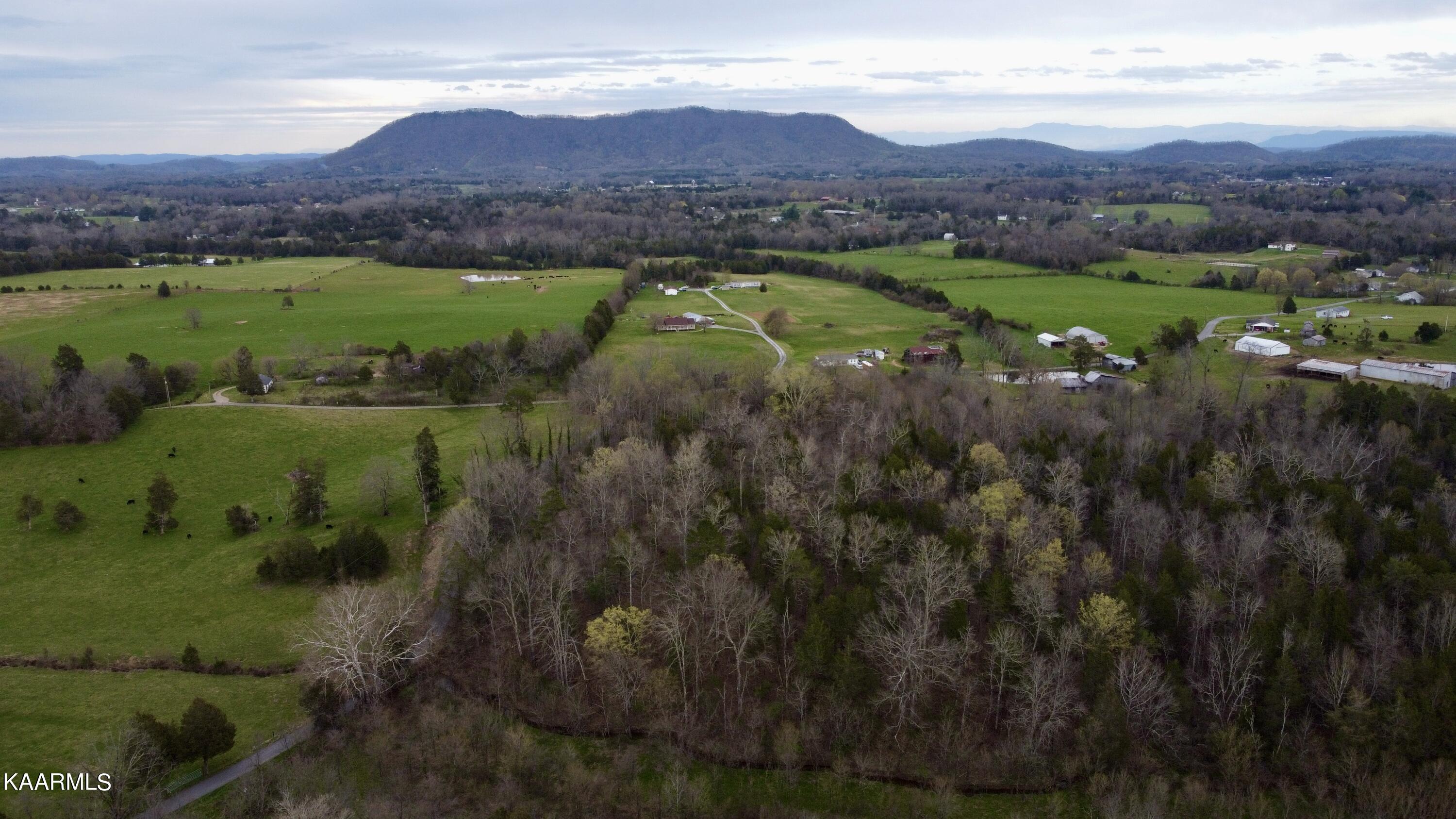 Rodger Road Corryton, TN 37721 - Photo 5 of 22 House mountain